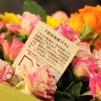 1月12日㈪は成人の日！ はつかいち産のバラを3名様にプレゼント!（お渡しは1月10日）